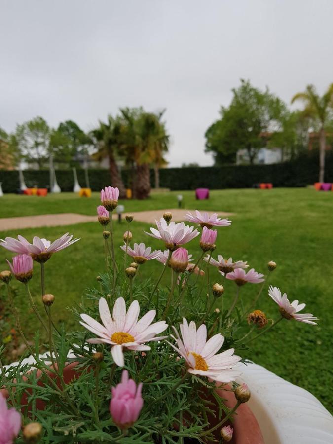 Готель I Giardini Del Novecento Ламеція-Терме Екстер'єр фото